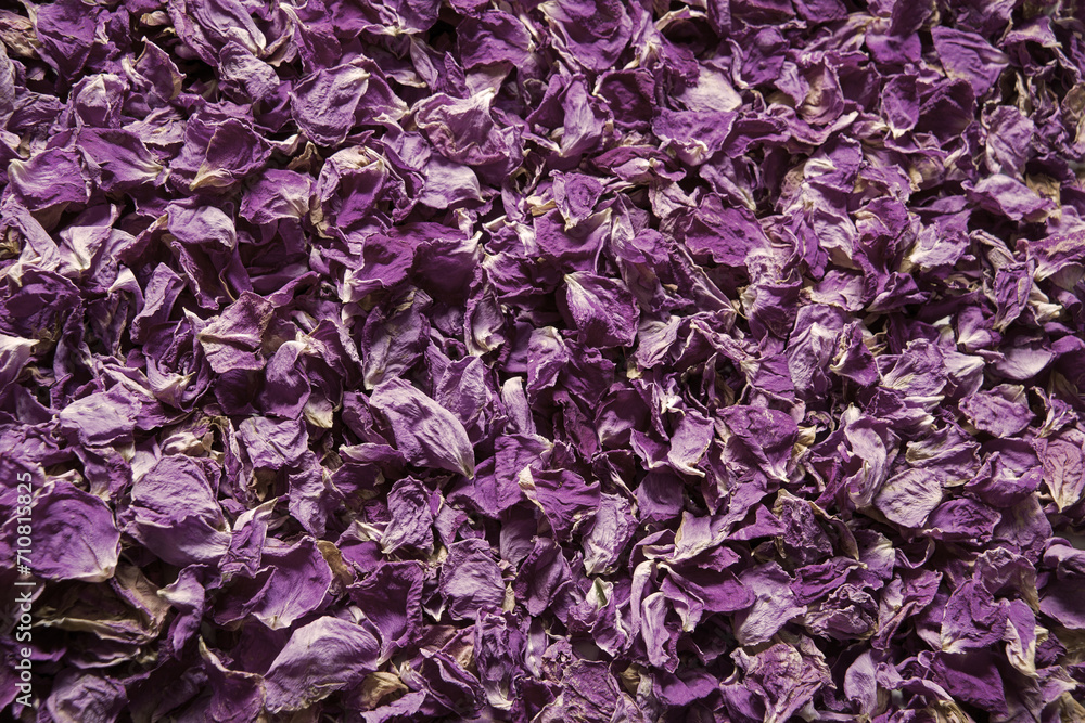 Natural background of rose petals