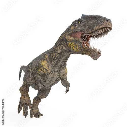 giganotosaurus is running on white background on side view © DM7