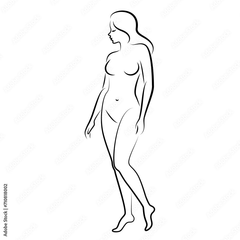 Silhouette of a nice lady, she is standing. The girl has a beautiful naked figure. The woman is a young sexy and slender model. Vector illustration. Silhouette of a nice lady, she is standing. The girl has a beautiful naked figure. The woman is a young sexy and slender model. Vector illustration.
