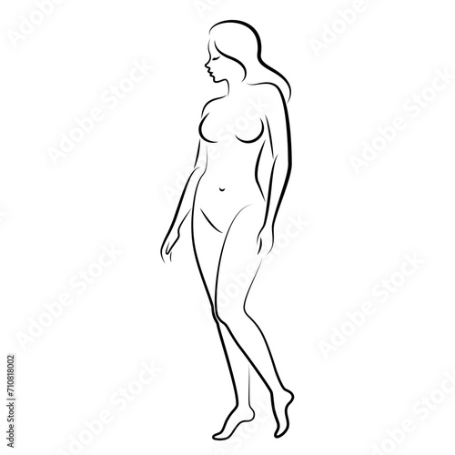 Silhouette of a nice lady  she is standing. The girl has a beautiful naked figure. The woman is a young sexy and slender model. Vector illustration.