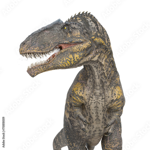 giganotosaurus is standing up on white background close up cool view photo