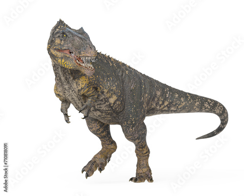 giganotosaurus is walking and also looking back on white background © DM7