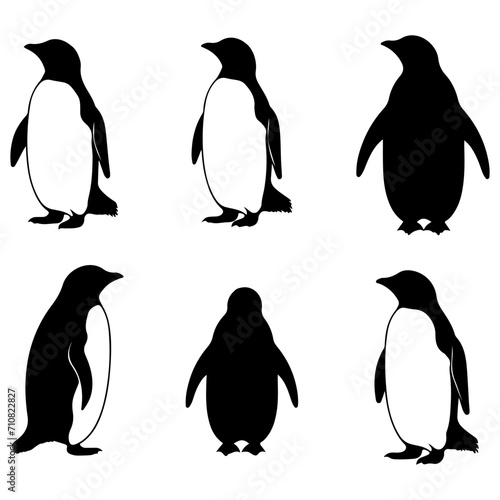 Penguin's black silhouette is set on a white background. Cute penguin vector illustration