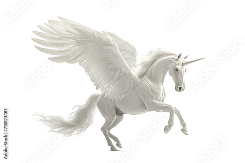 Cute Pegasus isolated on white background.
