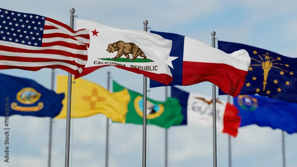 Many US state flags waving together on cloudy sky, endless seamless loop, Many US state flags waving together on cloudy sky, endless seamless loop,