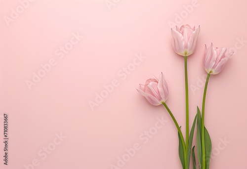 Elegant tulips, symbolizing spring and renewal, are ideal for greetings or decorations. © Яна Деменишина