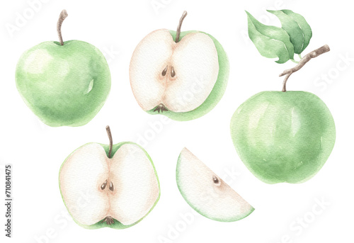 Watercolor set of green ripe apples isolated on transparent. 