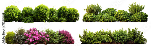 Set of lush garden bushes cut out