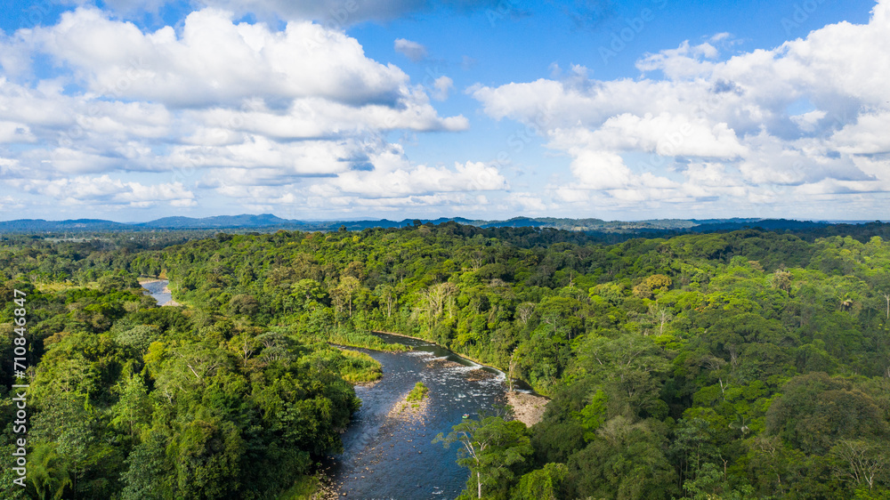 Naklejka premium river in the forest
