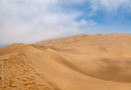 sand dunes in the desert