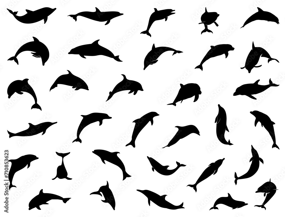 Dolphin silhouette vector art white background Dolphin silhouette vector art white background