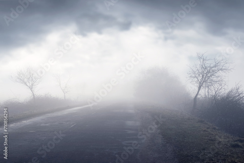 Thick fog in spring on asphalt road, trees in fog © Volodymyr
