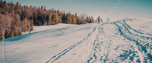 Skiturowe wycieczki piesze w góry photo