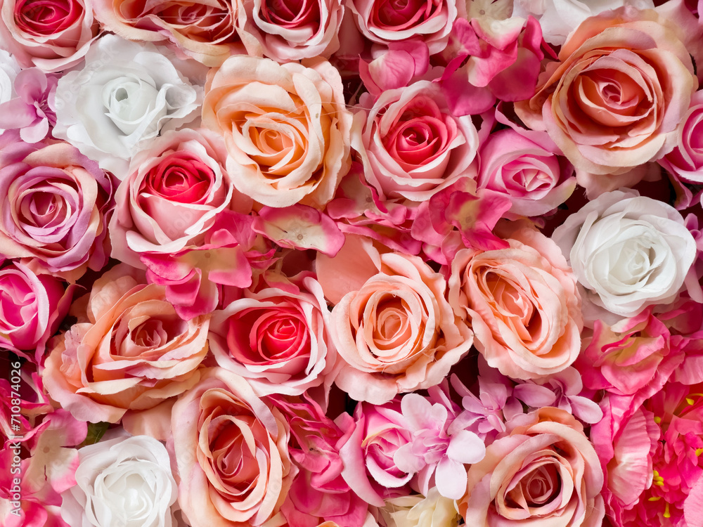 Symphony in Red, Pink, and White Roses. Colorful background of flowers. Design and fashion concept photo. Symphony in Red, Pink, and White Roses. Colorful background of flowers. Design and fashion concept photo.