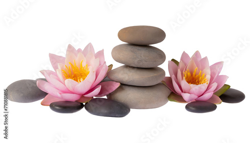 Tranquil spa stones complement lotus blooms - isolated