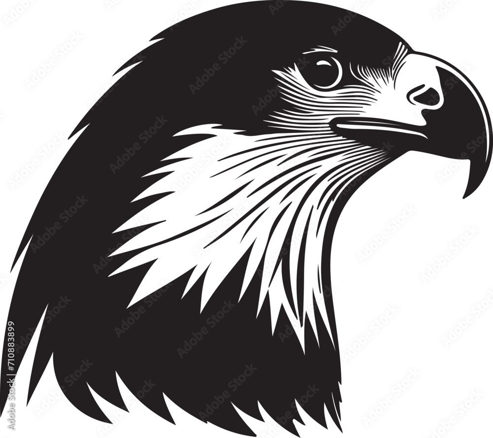 Obraz premium Eagle head silhouette, Vector artwork of Eagle head.