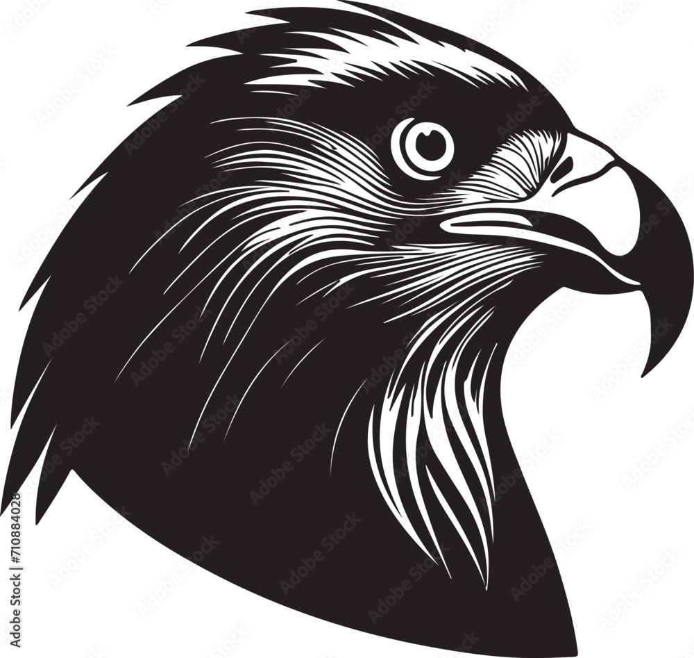 Fototapeta premium Eagle head silhouette, Vector artwork of Eagle head.
