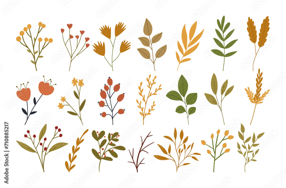 Set of autumn flowers, plants and berries, cute flat vector illustration isolated on white background. Collection of hand drawn fall botany elements for seasonal designs.