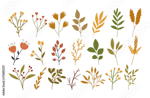 Set of autumn flowers  plants and berries  cute flat vector illustration isolated on white background. Collection of hand drawn fall botany elements for seasonal designs.