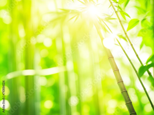 Abstract blur bamboo forest with sunligh ai image 