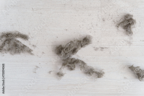 House dust on white floor. Top view. House Dust Mite and Home cleaning, Hygiene concept photo