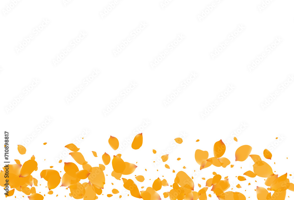 Fototapeta premium Beautiful Peach Fly Vector White Background.