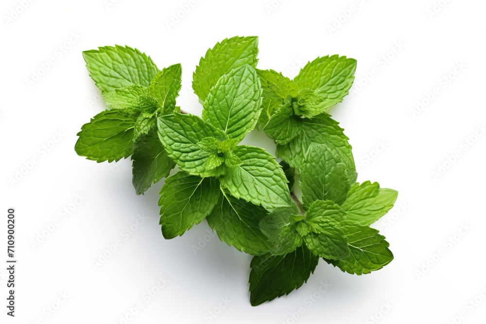 Fresh mint leaves isolated on white background Fresh mint leaves isolated on white background