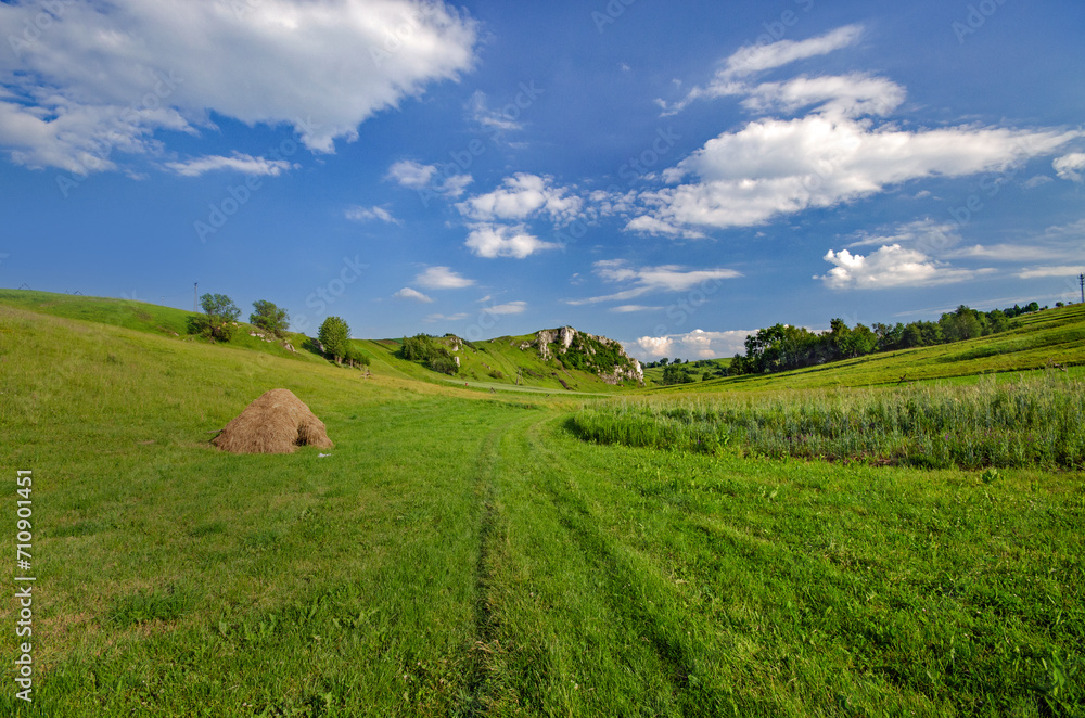 Obraz premium Racławice