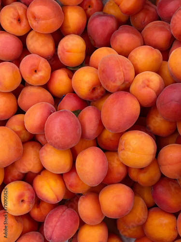Composition of orange, pink and burgundy ripe and juicy apricots