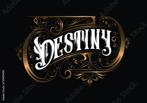 DESTINY lettering custom style design