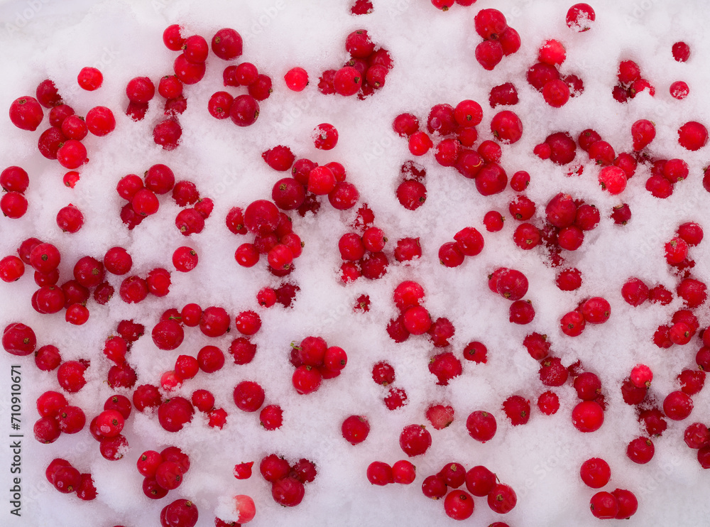 Frozen red currant berries. Frozen red currant berries.