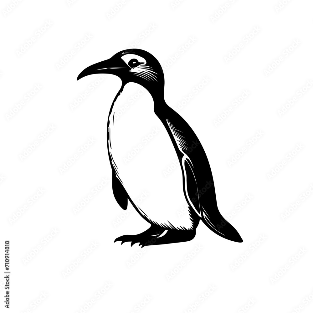 Fototapeta premium penguin vector