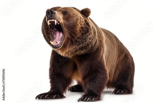 Large brown bear baring teeth and growling