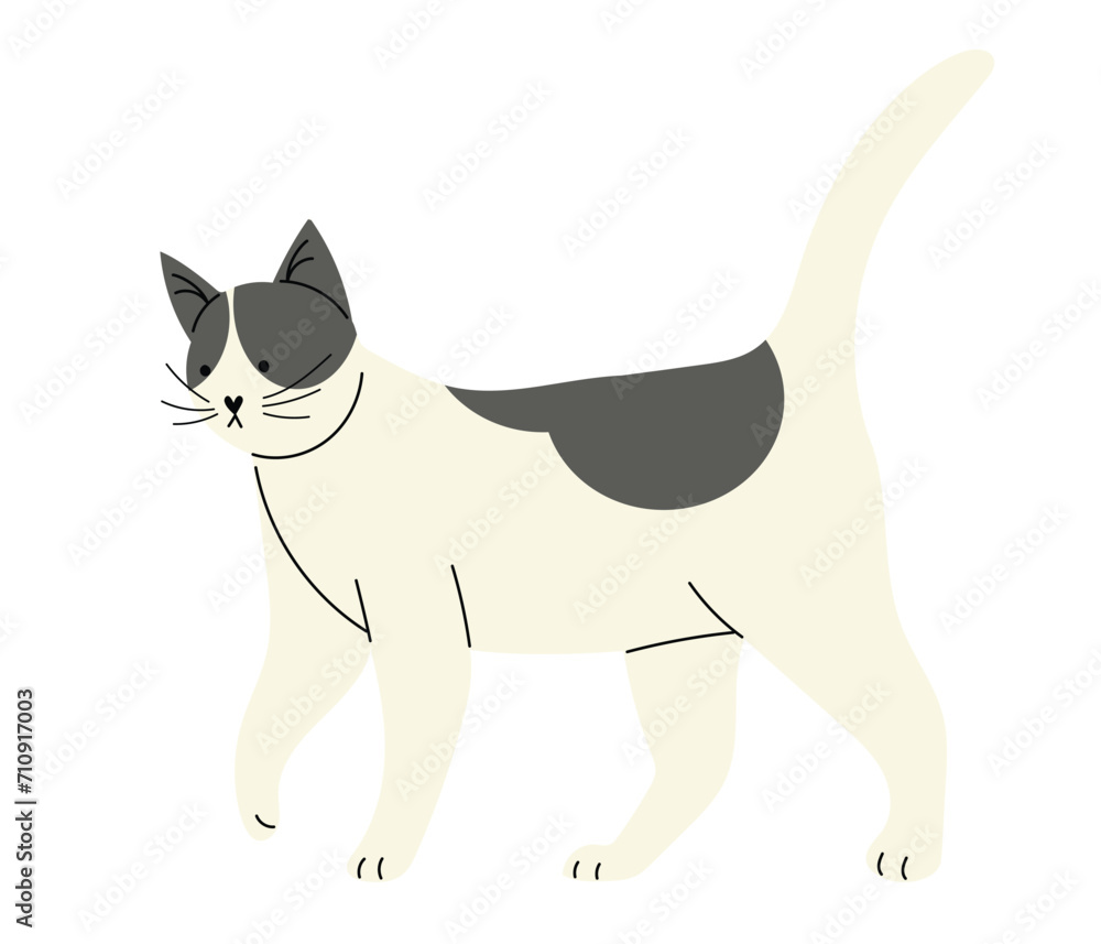 Cute ordinary cat with black spots, hand drawn vector illustration in flat style, isolated on white background Cute ordinary cat with black spots, hand drawn vector illustration in flat style, isolated on white background