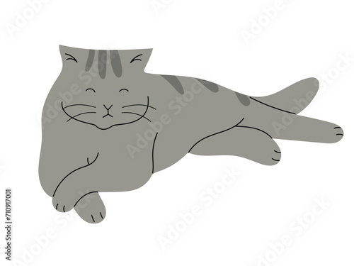 Sleepy British shorthair cat, hand drawn vector illustration in flat design, isolated on white