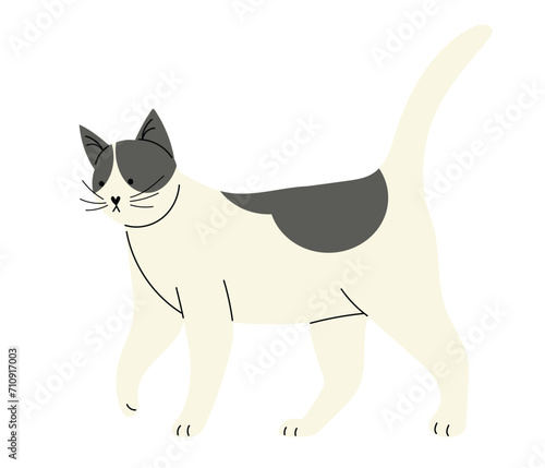 Cute ordinary cat with black spots, hand drawn vector illustration in flat style, isolated on white background