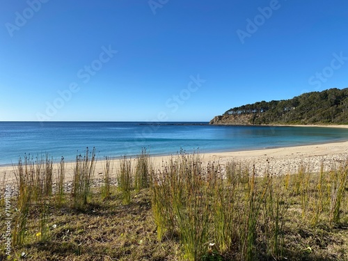 Island beach. View of bay, sand, waves, tall grass and coastline. Landscape near the ocean.