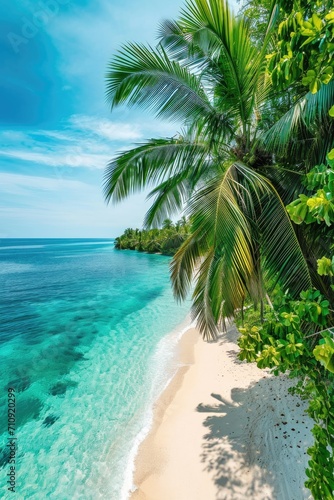 Tropical white sand beach with beautiful seascape on sunny day  drone view