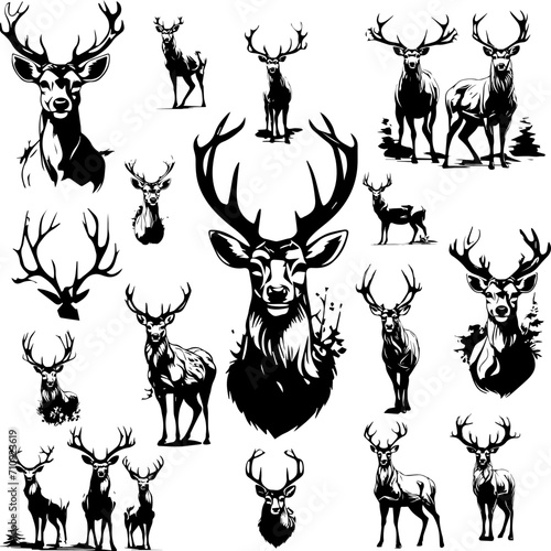 Hand drawn illustration of a set of deer