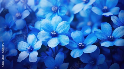 vibrant blue flower background illustration beautiful spring, garden petal, blossom sky vibrant blue flower background © vectorwin