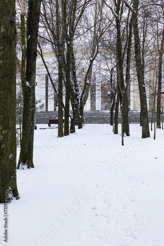Path in the park among snow-covered trees