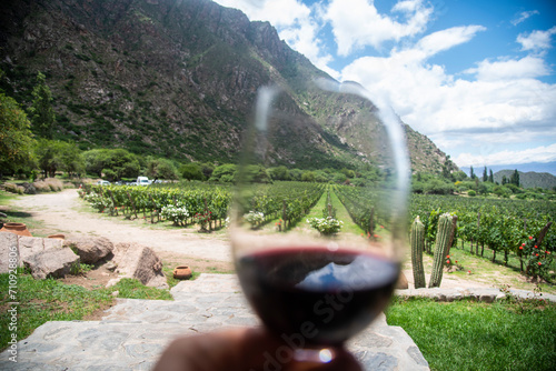 copa de vino y campo de vid en verano entre las montañas
