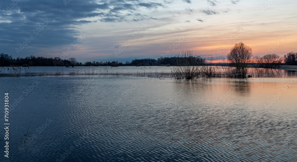 Evening landscape, flood, river flood at sunset, countryside flooded by spring flood