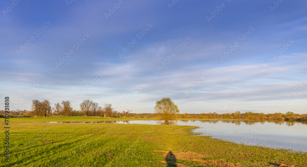 Fototapeta premium Field during spring flood, river flood