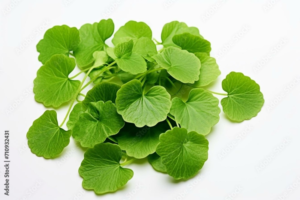 Green leaves of centella asiatica on white background. Generative AI Green leaves of centella asiatica on white background. Generative AI