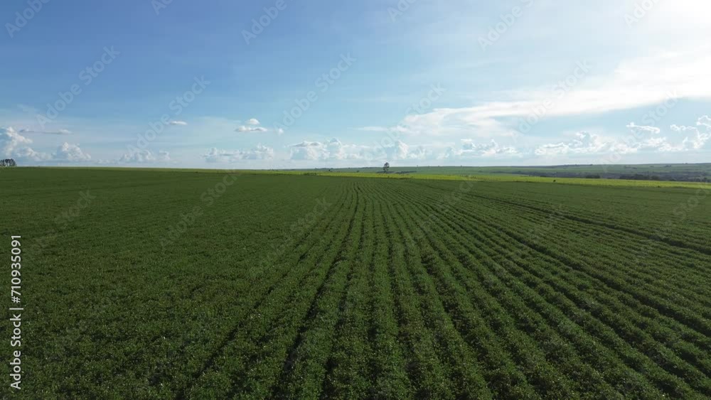 Drone tour of a peanut farm. Drone tour of a peanut farm.