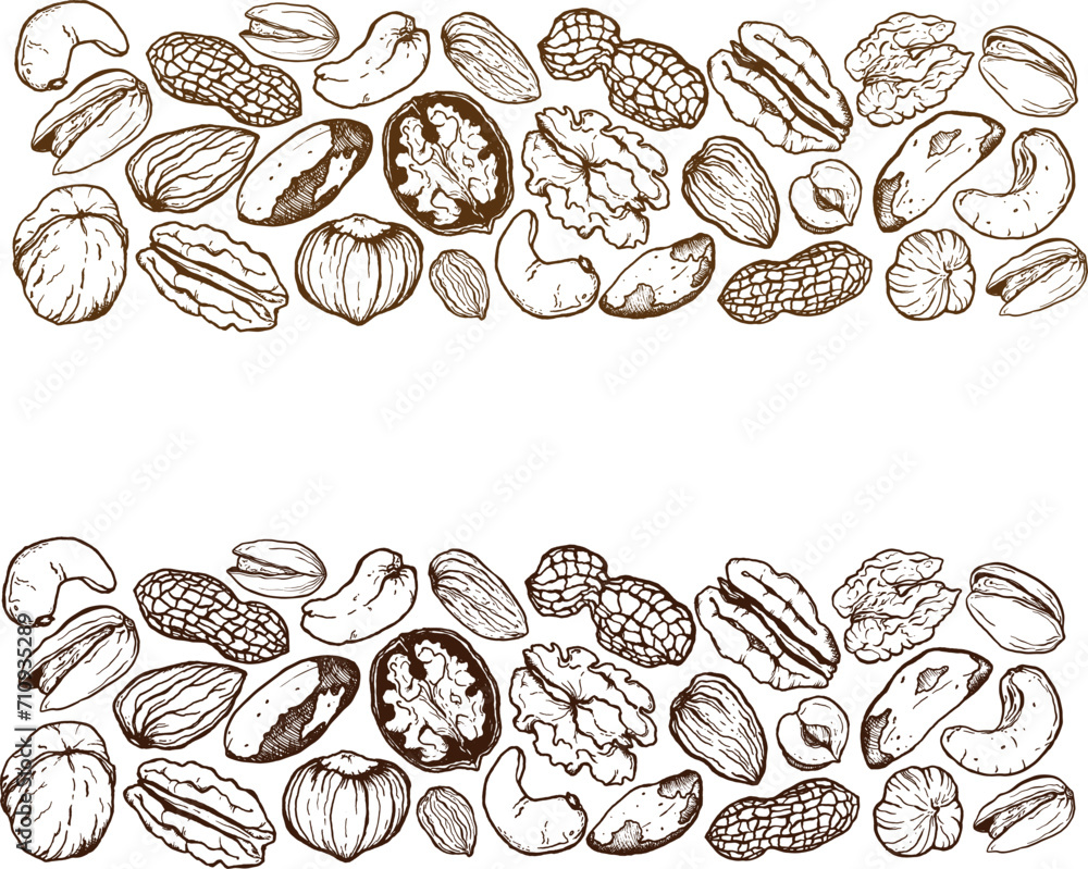 Vector line art border composition of mix nuts. Hand painted pistachio, walnut, hazelnut and almond on white background. Tasty food illustration for design, print, fabric or background.