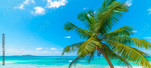 Fototapeta Naklejka Na Ścianę i Meble -  Palm tree and turquoise water in a tropical beach