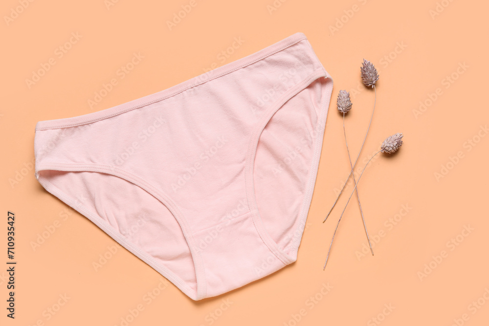 Cotton female panties and dried flowers on color background Cotton female panties and dried flowers on color background