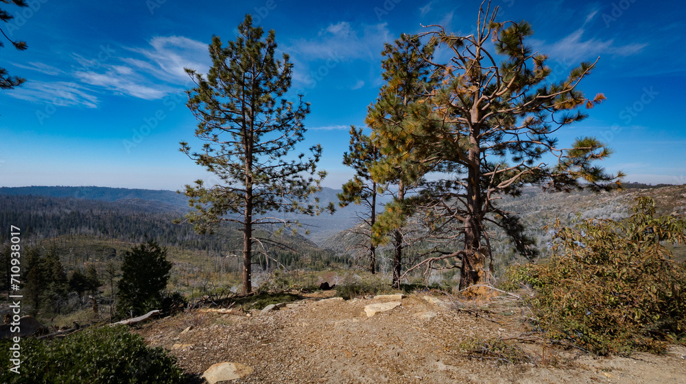 Kings Canyon National Park California